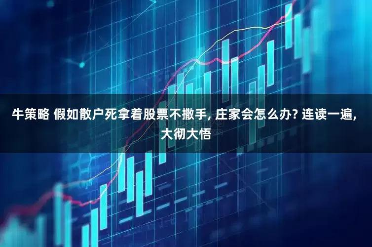 牛策略 假如散户死拿着股票不撒手, 庄家会怎么办? 连读一遍, 大彻大悟