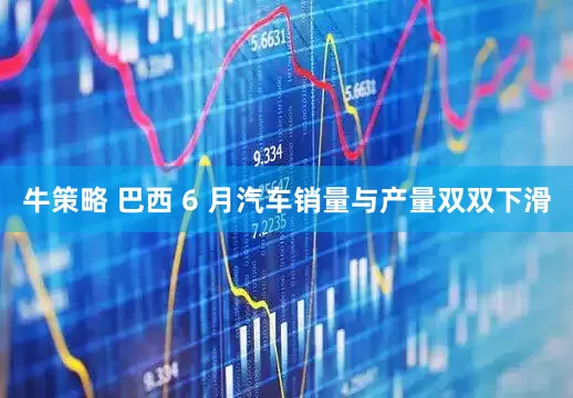 牛策略 巴西 6 月汽车销量与产量双双下滑