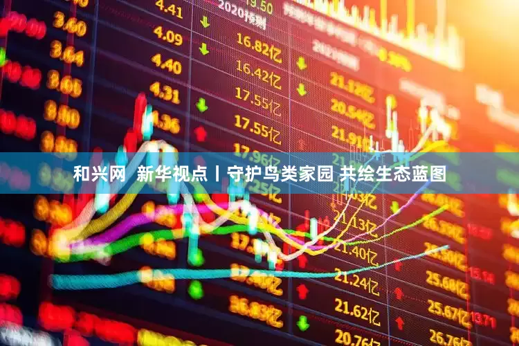 和兴网  新华视点丨守护鸟类家园 共绘生态蓝图