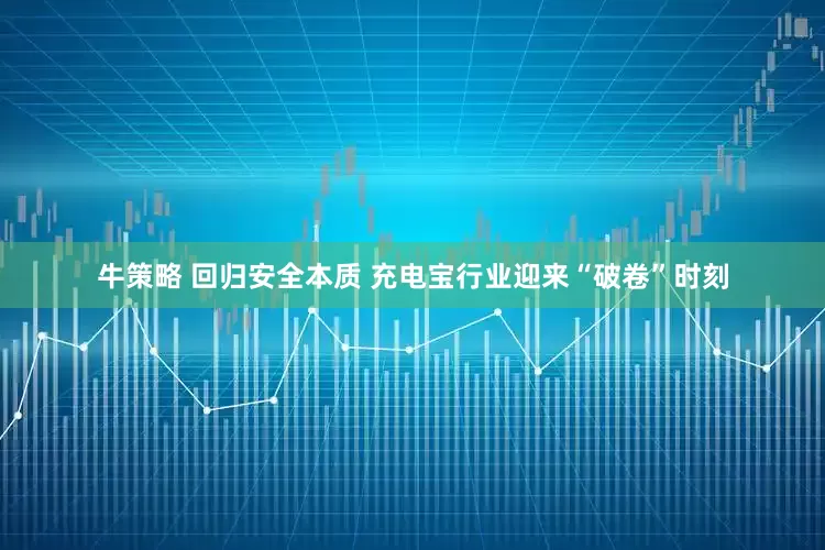 牛策略 回归安全本质 充电宝行业迎来“破卷”时刻