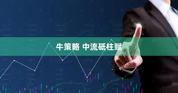牛策略 中流砥柱赋
